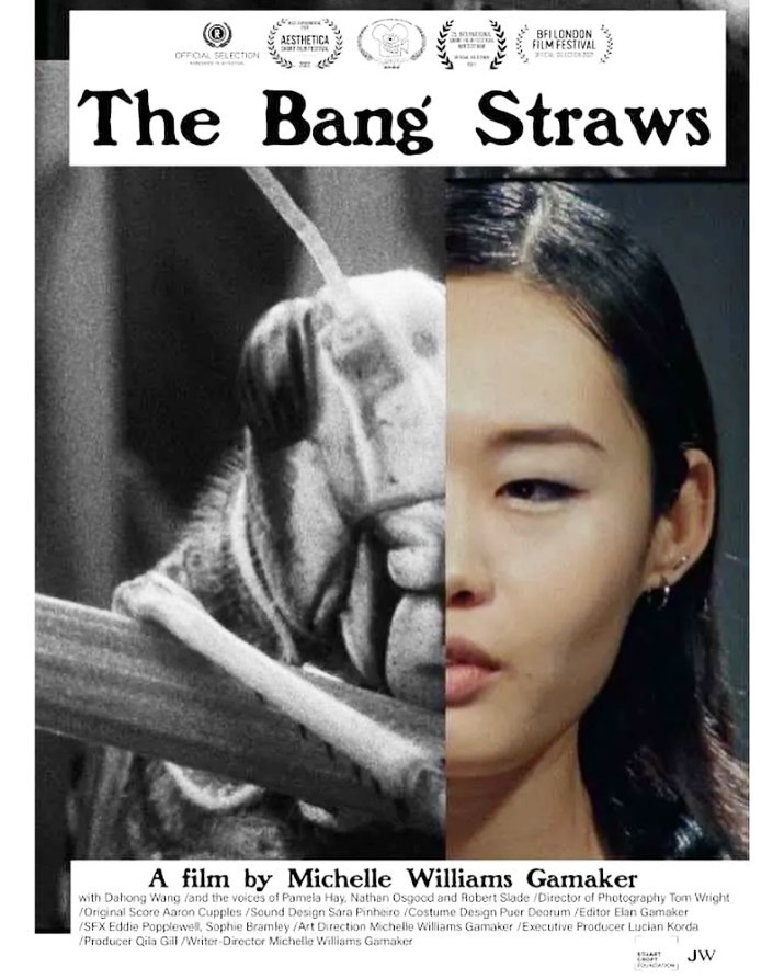 Bang Straws film selected for Raindance Festival!